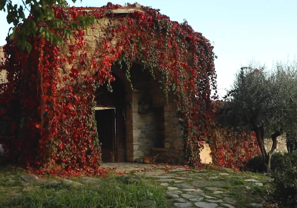 Digital Detox in Umbria