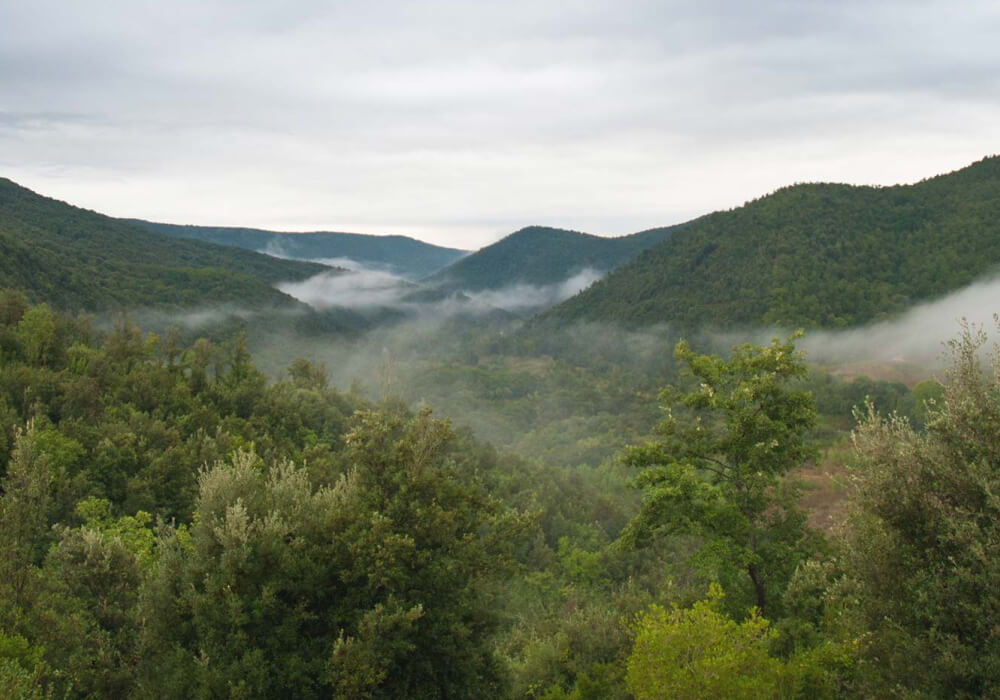 Paesaggio Eremito